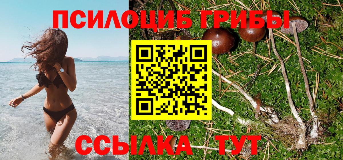Галлюциногенные грибы Psilocybe  Псилоцибиновые грибы Psilocybe  Вход с VPN  Серов 