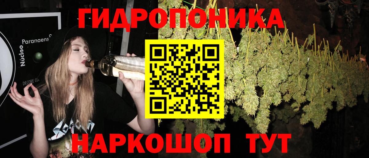 Конопля OG Kush  Вход с VPN  Серов  Канабис VHQ 